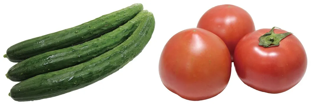 野菜の「食べ合わせ きゅうりとトマト」