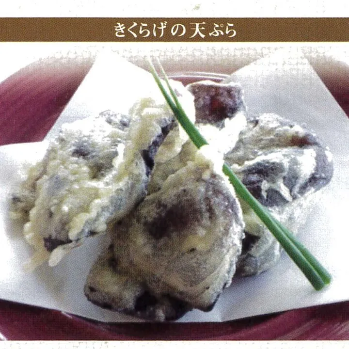 「生きくらげ」一度食べればやみつきになる肉厚でぷりぷりとした...