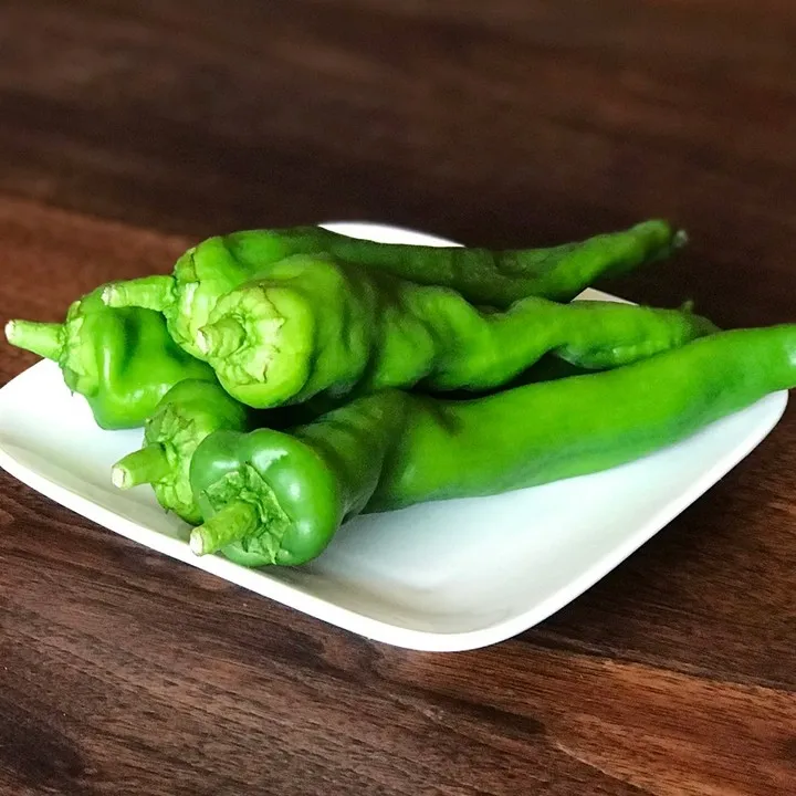 夏が旬の大型で甘みのある京野菜「万願寺とうがらし」！辛くない...