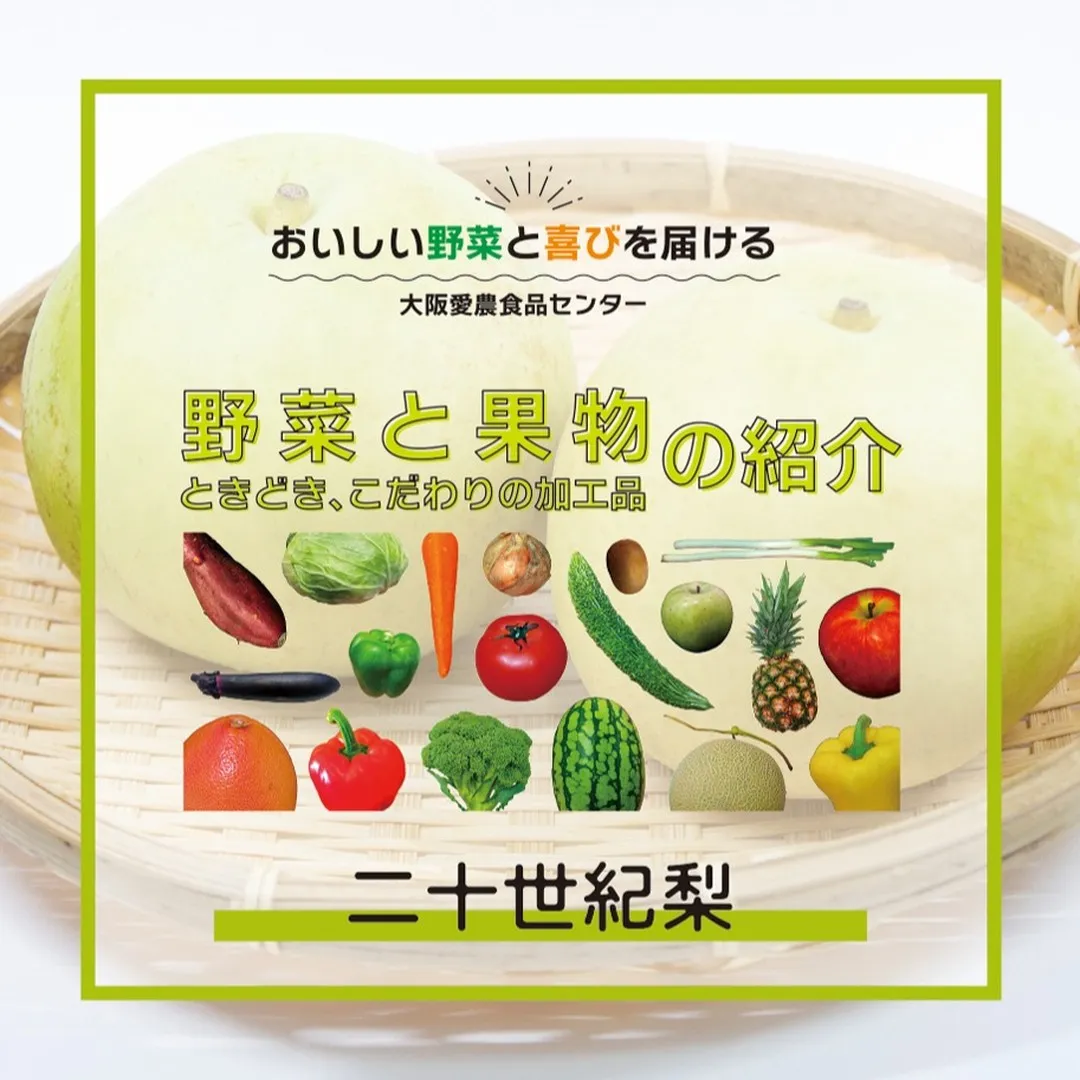 秋の味覚「二十世紀梨」のご紹介です！二十世紀梨は、その爽やか...