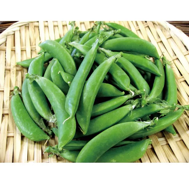 スナップエンドウは、そのぷりっとした肉厚のさやと甘みたっぷり...