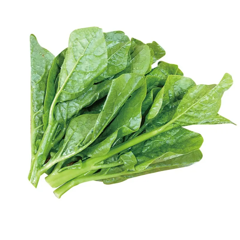 つるむらさきは、その特徴的な葉や茎の濃い緑色と、つややかな見...