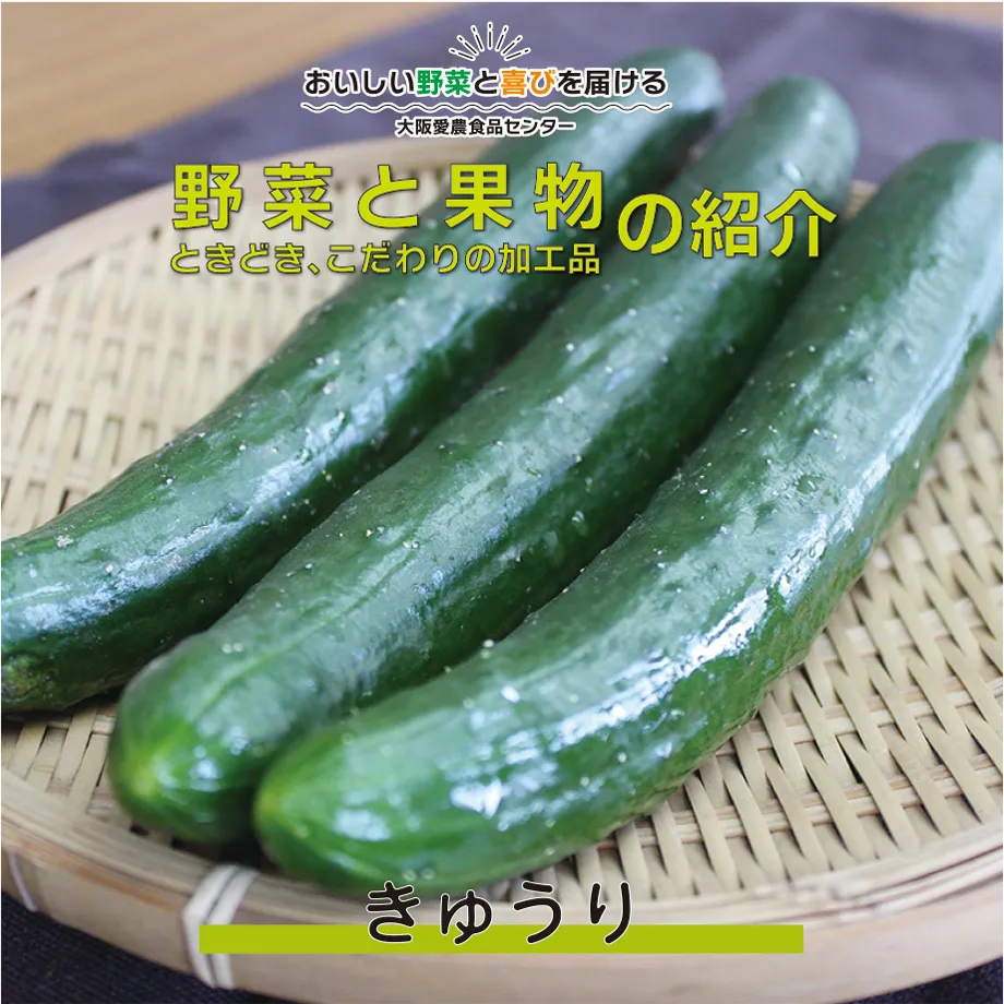みずみずしい夏の味覚「きゅうり」