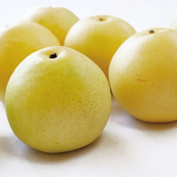 瑞々しさの極み「二十世紀梨」