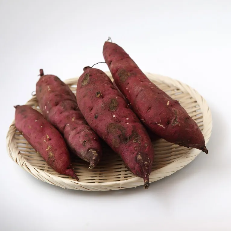 秋の恵み、ほっくり甘い「さつまいも」