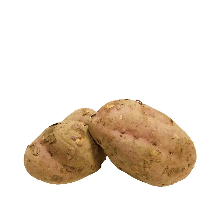 「安納芋」とろける甘さ、秋のごちそう