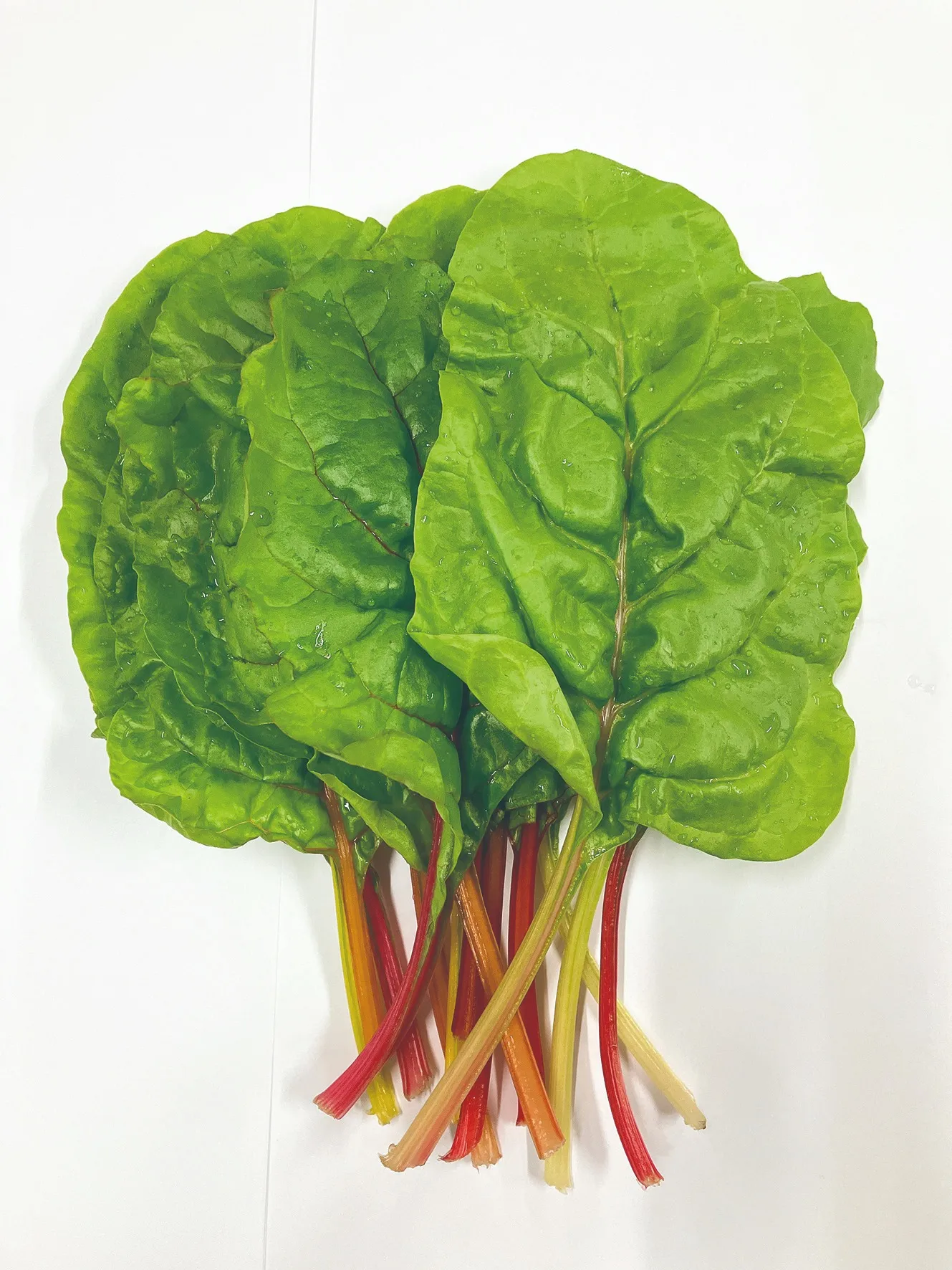 色鮮やかな栄養野菜「スイスチャード」とは？