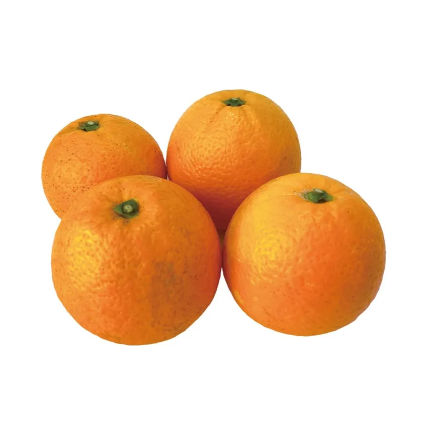 ネーブル/ひと口で広がる、太陽の甘さ。