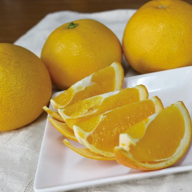 ネーブル/ひと口で広がる、太陽の甘さ。