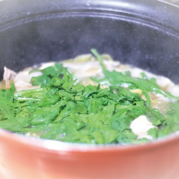 香りで食卓が変わる、キクナ(春菊)