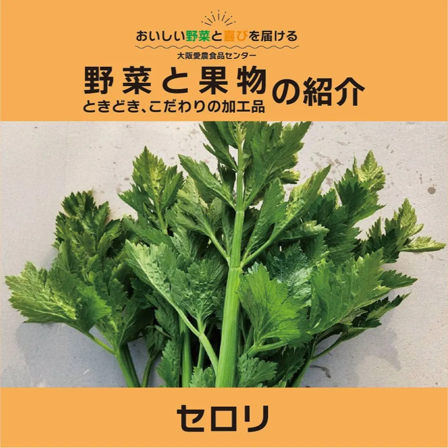 「セロリ」は、その独特の香りとシャキシャキとした食感で、多く...