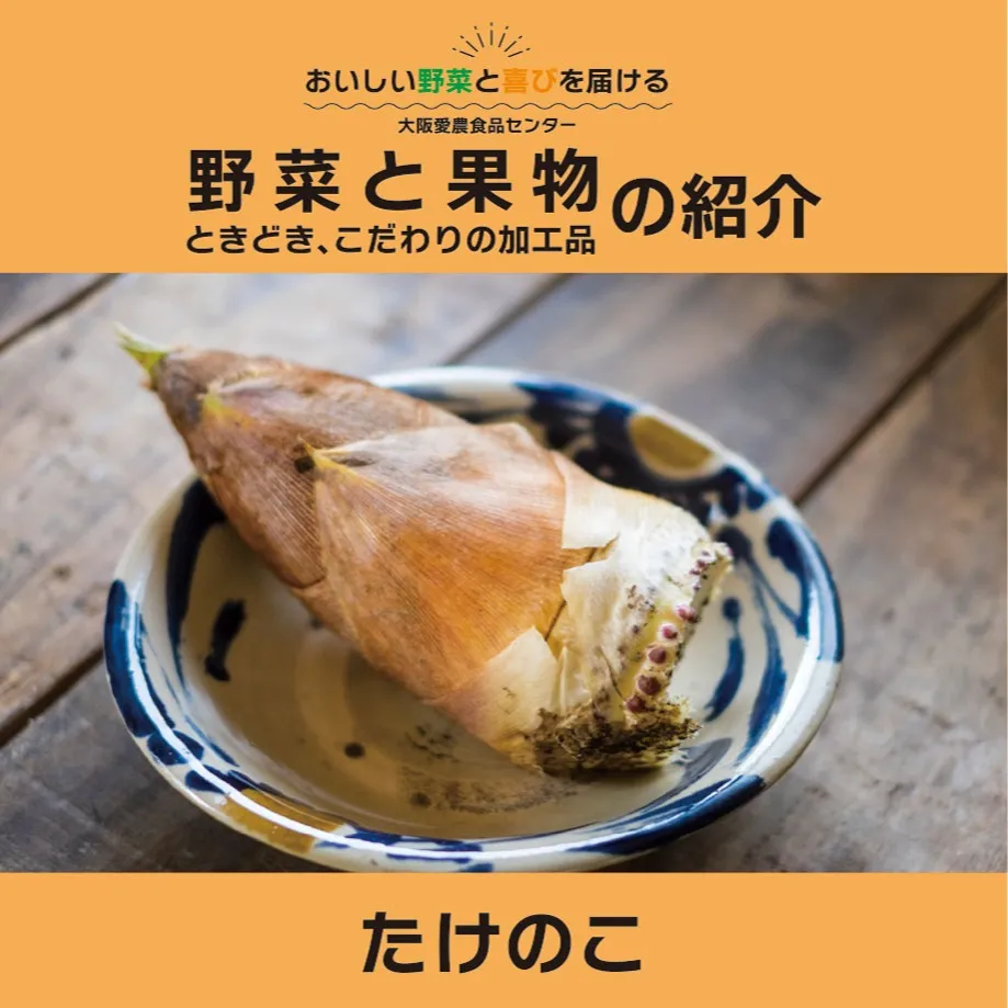 たけのこ（筍）