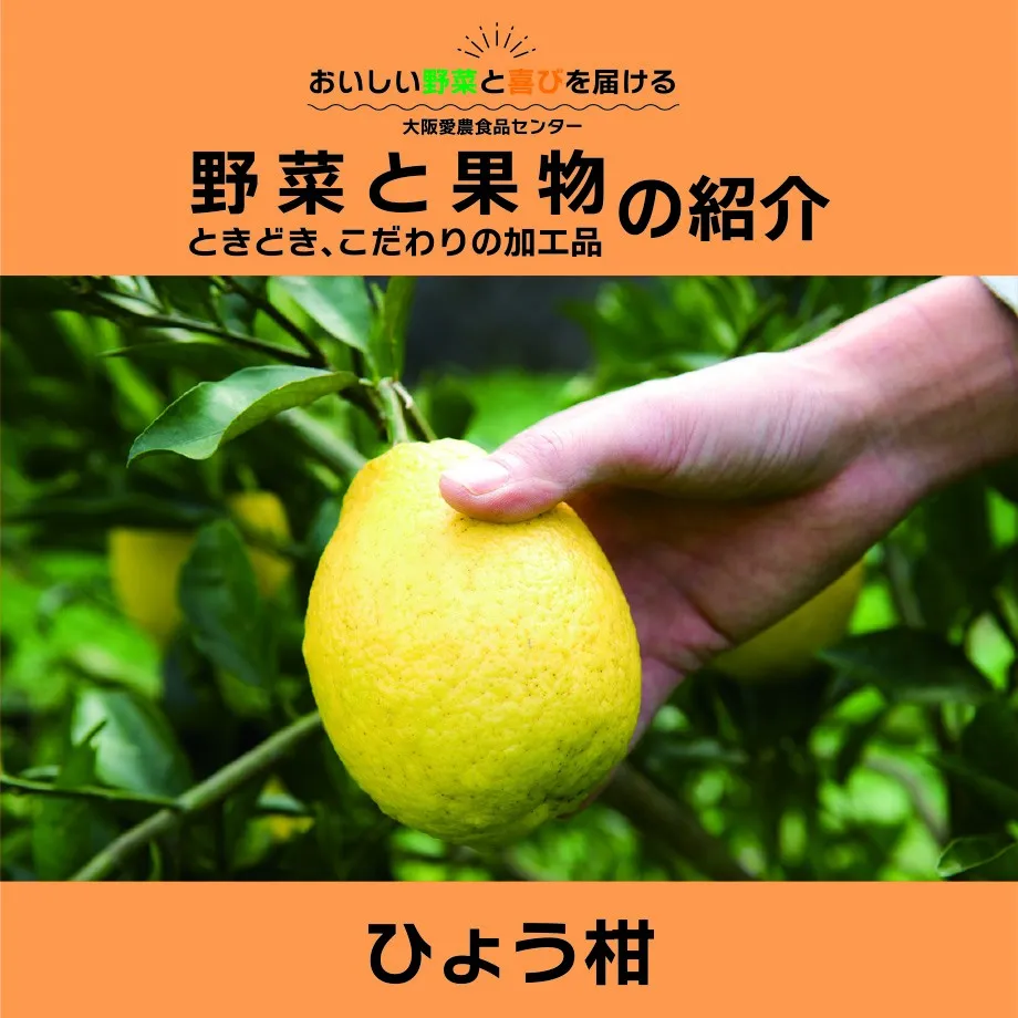 ひょう柑（ひょうかん）