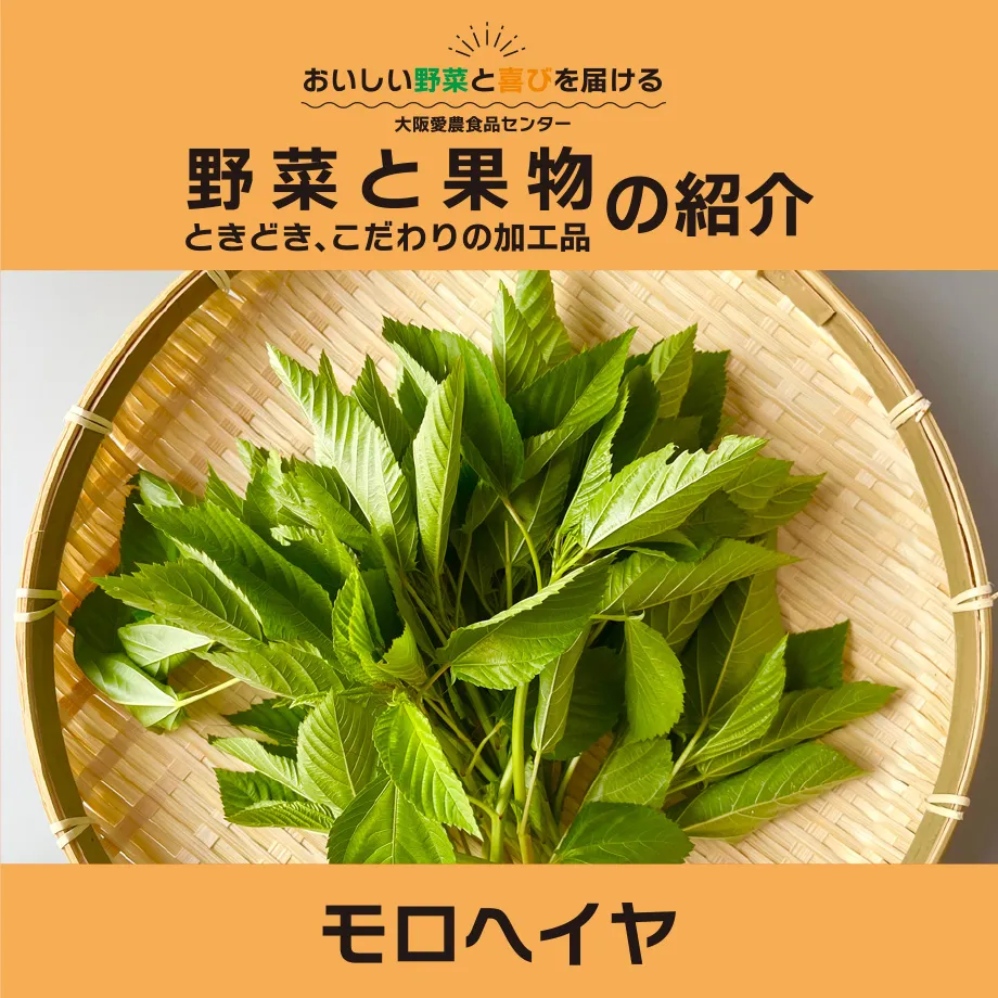 最強の夏野菜!「モロヘイヤ」の季節がやってきた